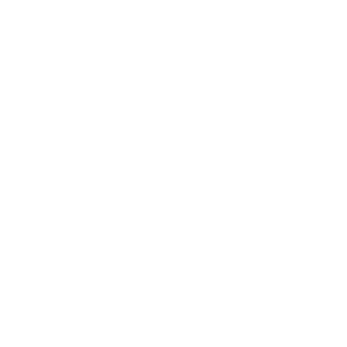 People Icon